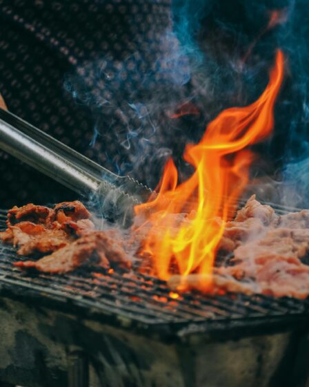 Alternatywy dla tradycyjnego grilla