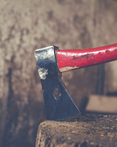 pomysł na wieczór kawalerski