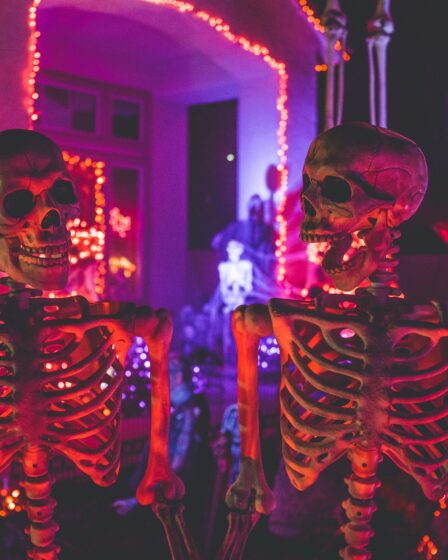 trzy szkielety na tle lampek