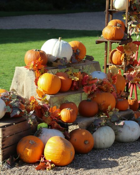 jesienne liście i dynie ustawione na drewnianych skrzynkach