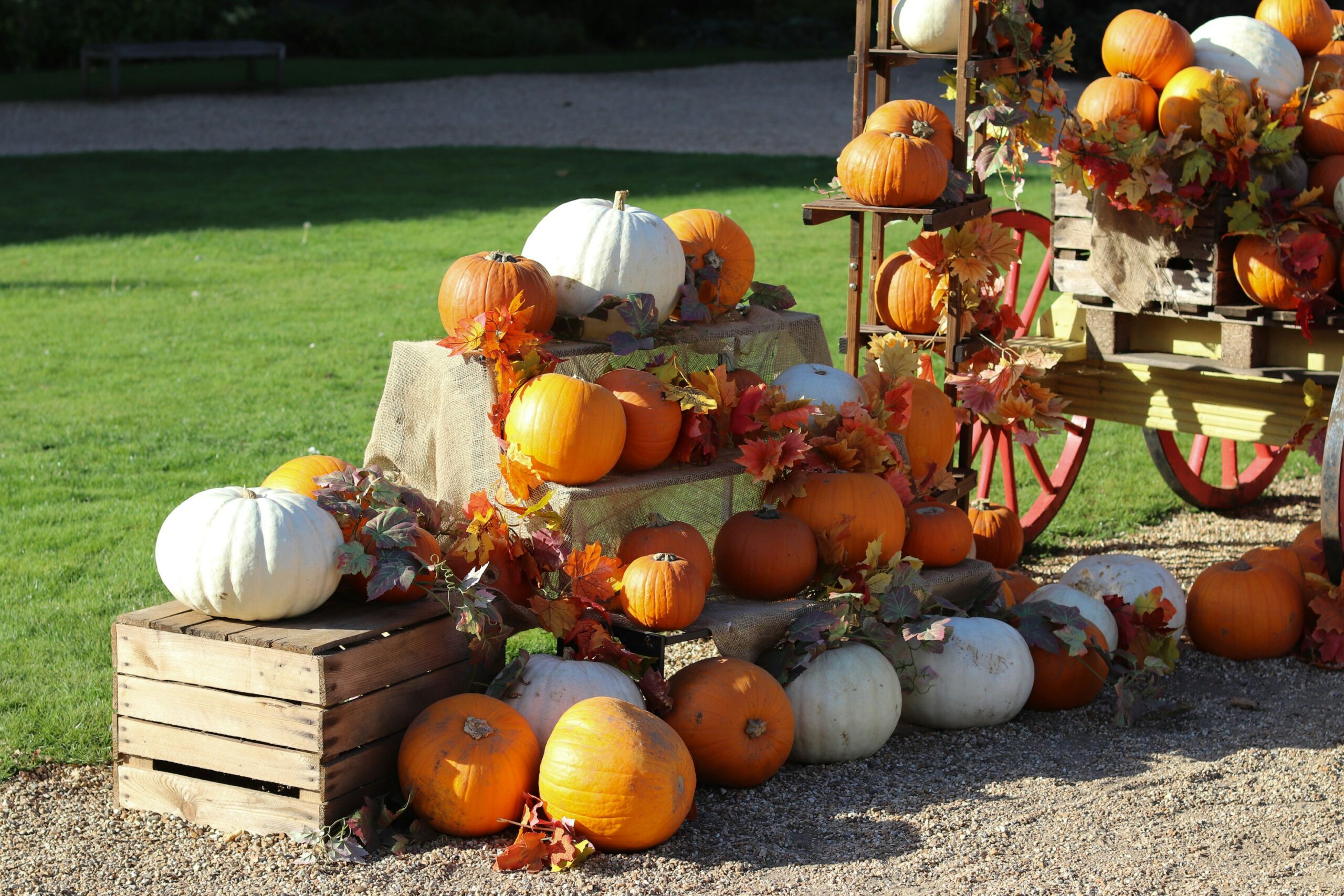 jesienne liście i dynie ustawione na drewnianych skrzynkach