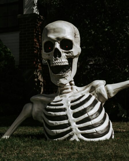 dekoracyjny szkielet przed domem