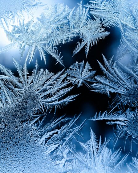 zbliżenie na mróz na oknie