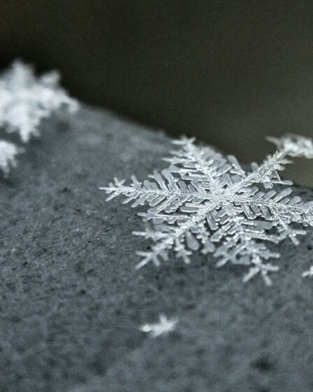 śnieżka leżąca na płaszczyźnie