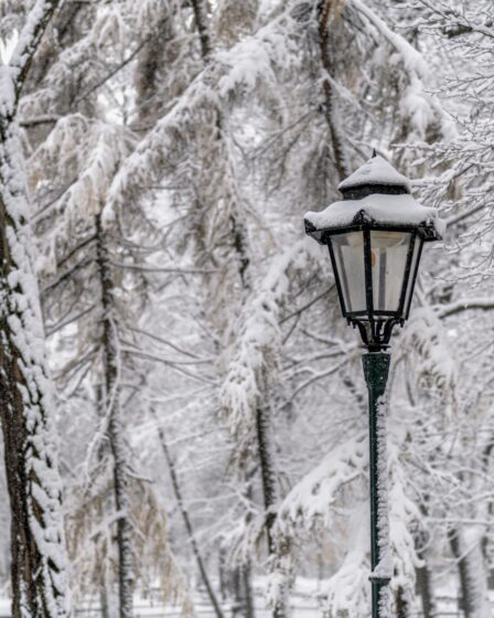 zdjęcie latarni w parku