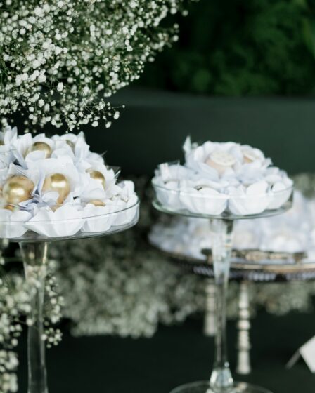 dekoracje wraz z roślinnością