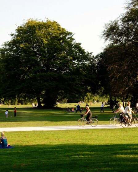 ludzie spacerujący w parku